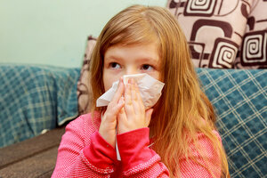 Насморк у ребенка: аллергический или вирусный?