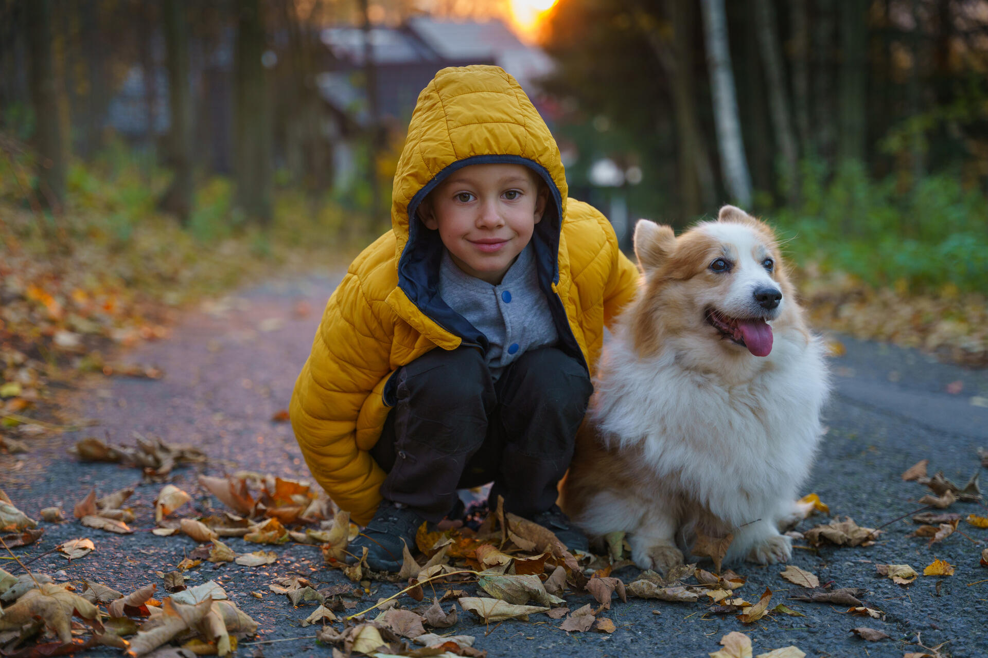 Рассказываем,  почему иметь четвероногого друга не только весело, но и полезно для всей семьи