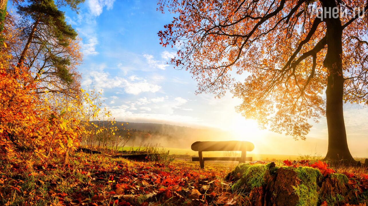 Красивые картинки осень | ВКонтакте