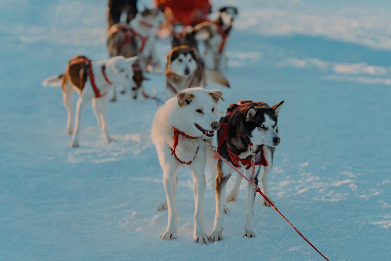 фото со съемок «Снежная восьмерка» кадры