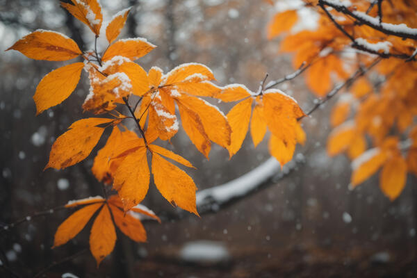 Разворот на 180 градусов: синоптики обновили прогноз на сентябрь
