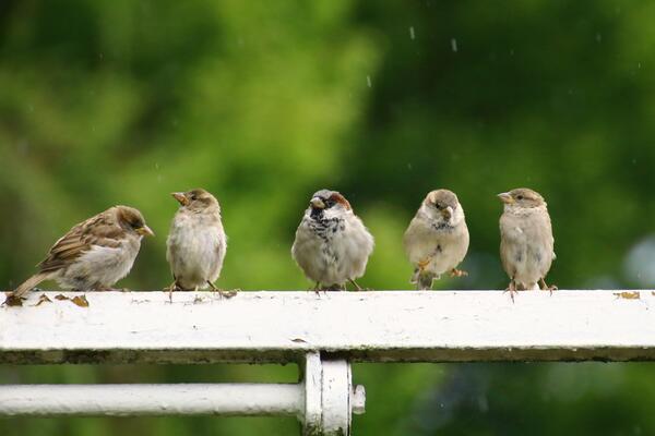 17 мая: какой сегодня праздник?