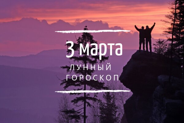    3 , 