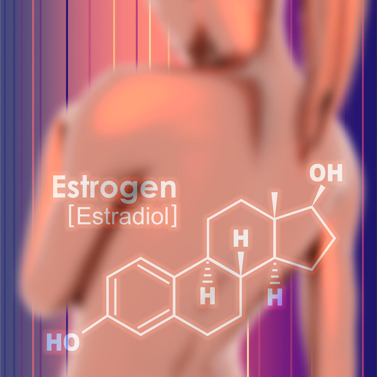  :     ,  