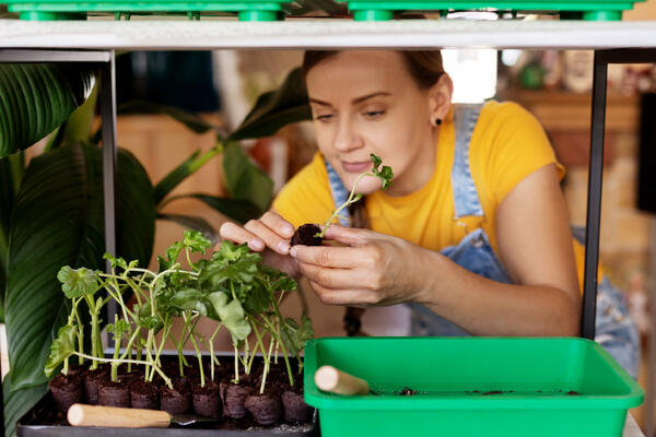Больше никаких промахов: 16 лучших растений на рассаду с проверенным результатом