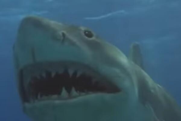 Что делать, если? Советы, которые могут спасти вам жизнь