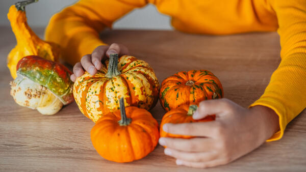 Осенняя композиция из тыквы