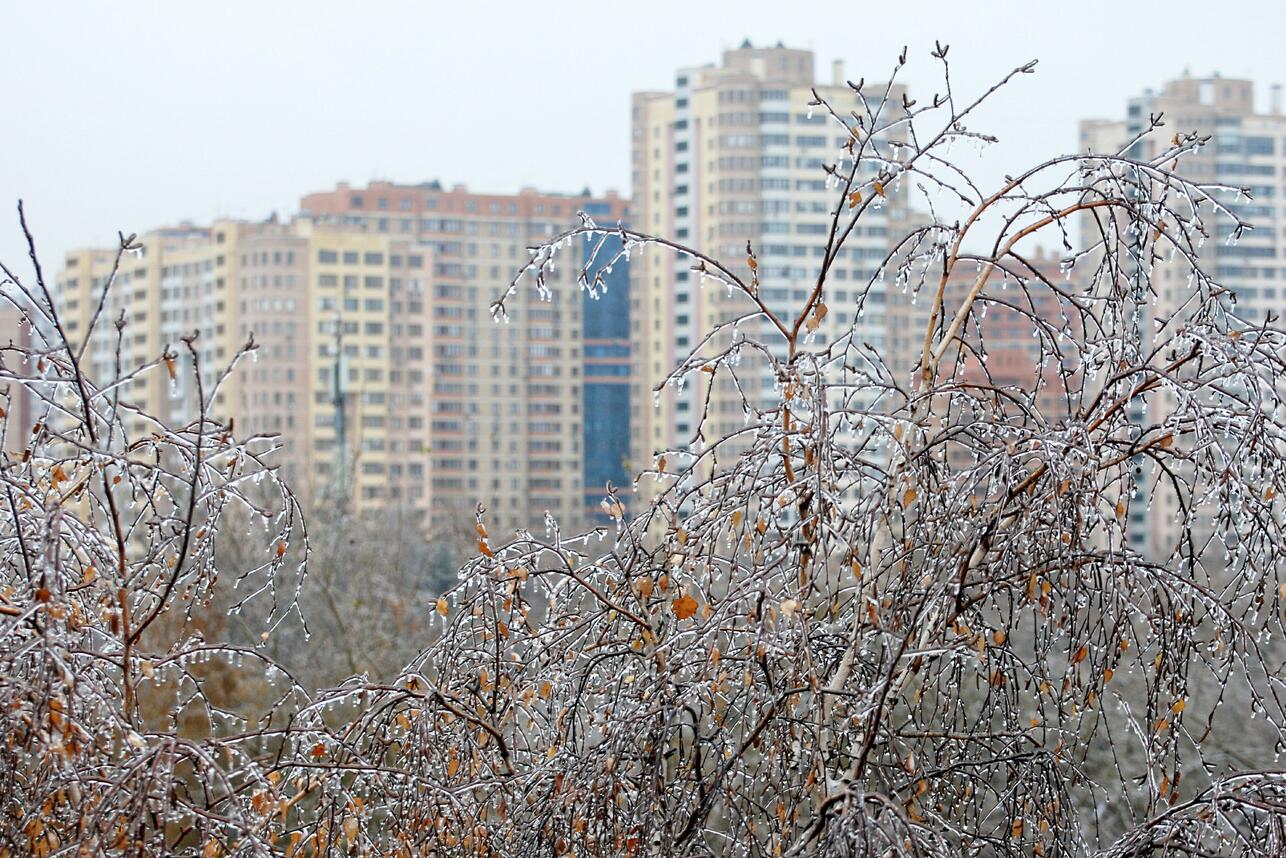 Зима близко: синоптик раскрыл дату, когда придут реальные холода - 7Дней.ру