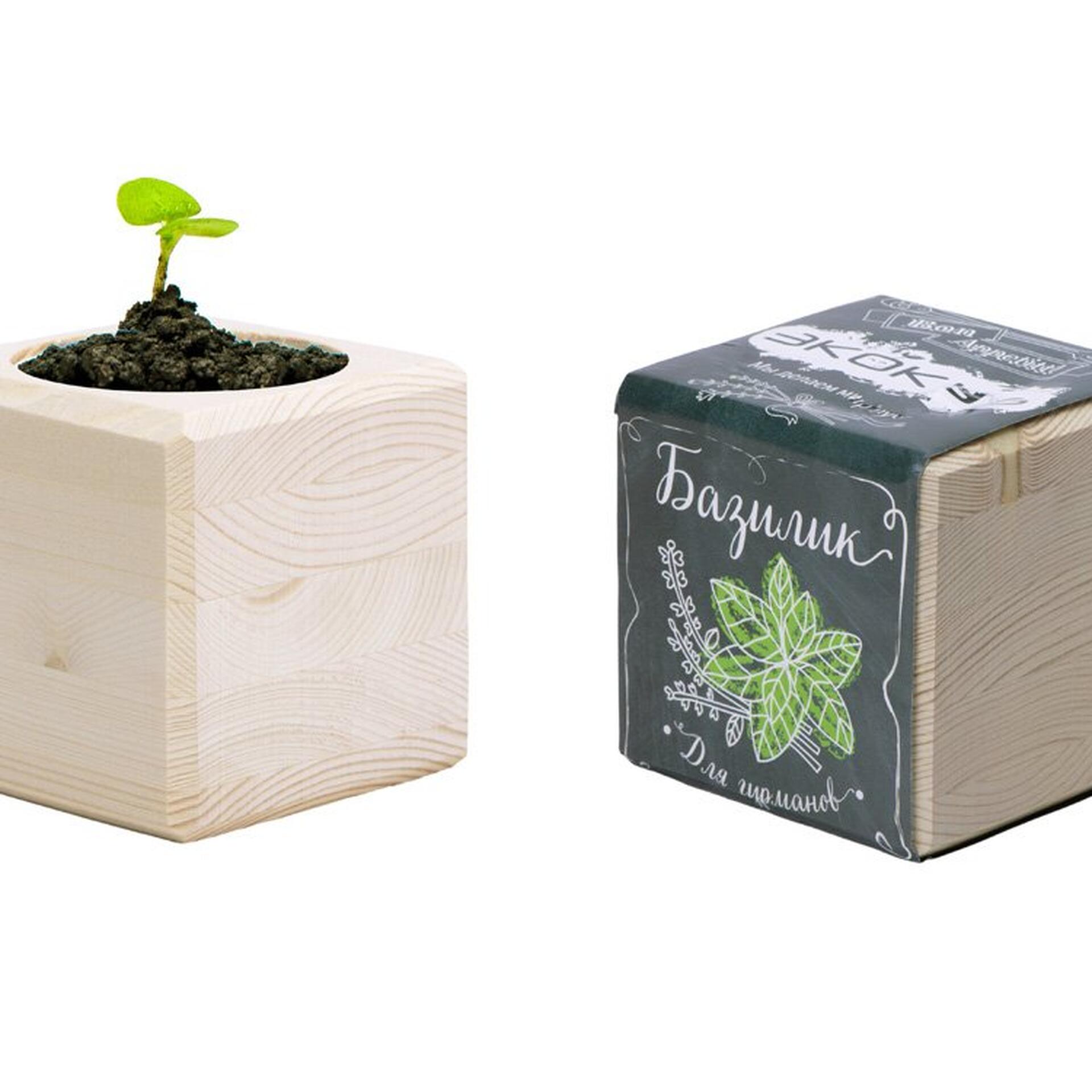 декор для дома недорого, бюджетный декор, декор до 1000 рублей, стильные вещи для дома, недорогие украшения для интерьера, как обновить интерьер недорого, аксессуары для дома, декор своими руками, что купить для уюта, бюджетное оформление интерьера