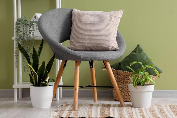 Неожиданный способ вернуть бодрость и красоту домашним растениям  