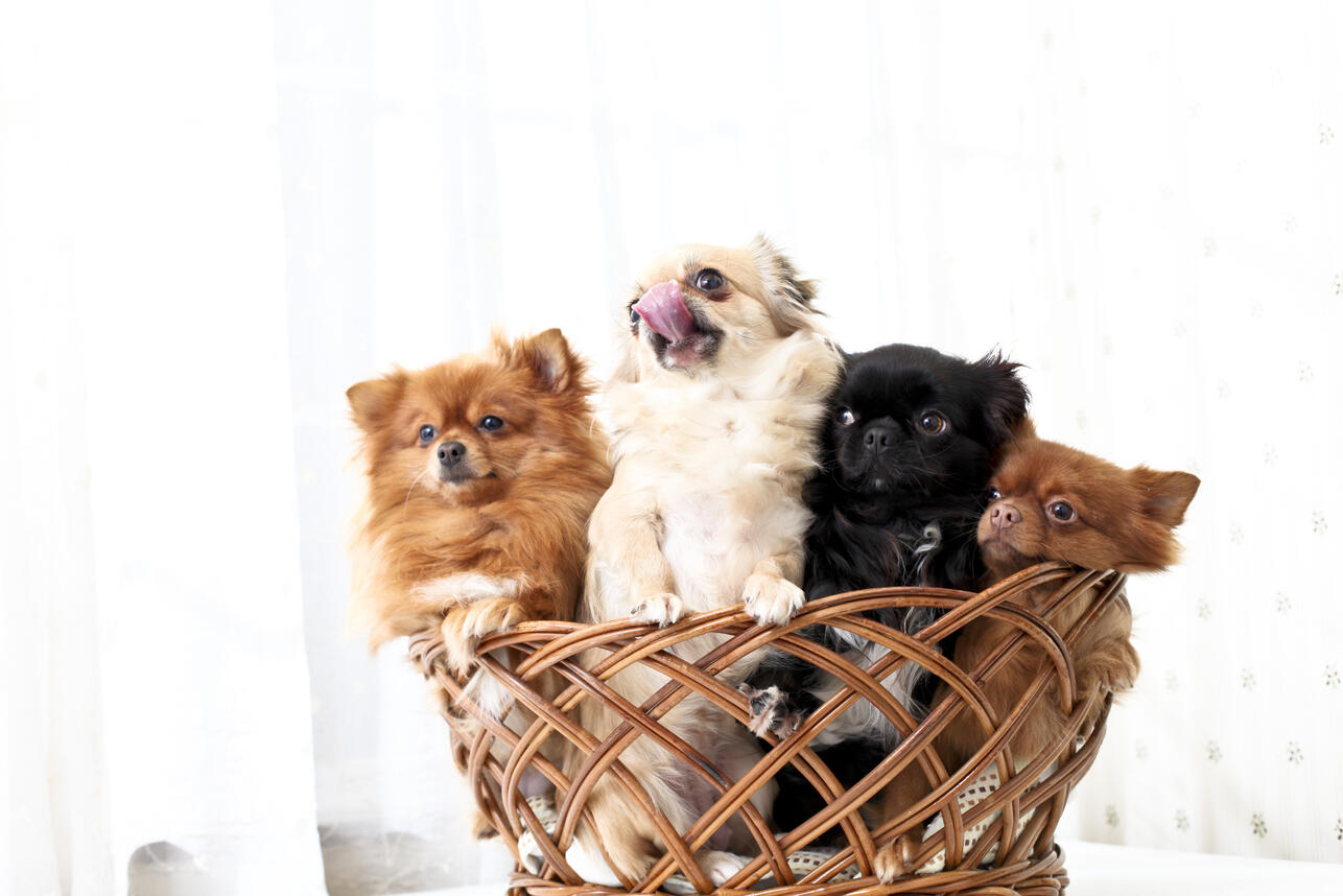     ,      ,      ,        ,      ,      ,    ,    ,   ,    