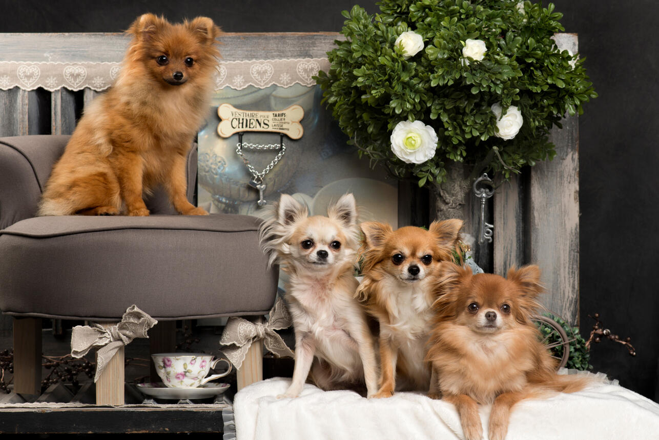     ,      ,      ,        ,      ,      ,    ,    ,   ,    