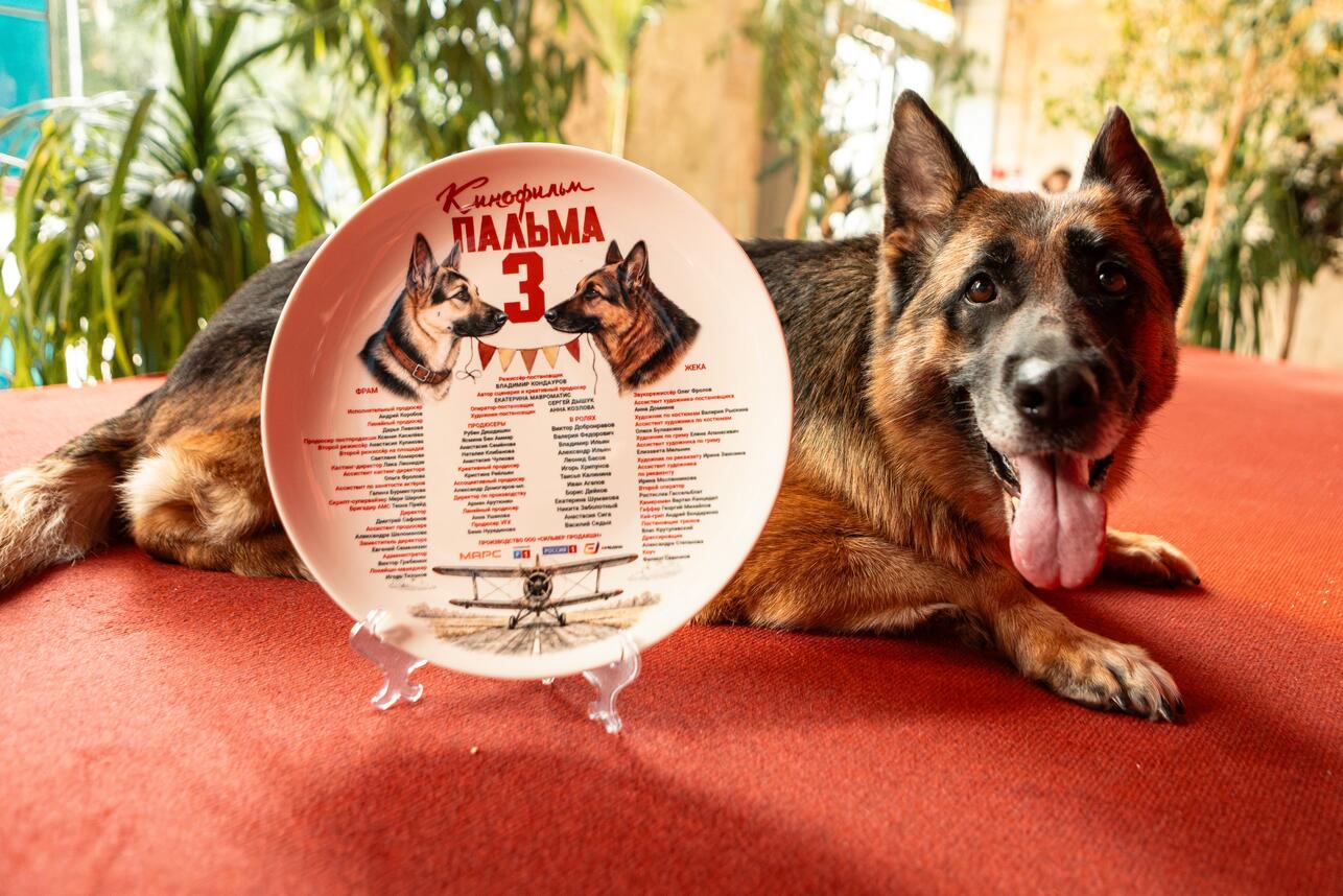 РєР°РґСЂ РёР· С„РёР»СЊРјР° В«РџР°Р»СЊРјР° 3В», СЂРµР¶. Р’Р»Р°РґРёРјРёСЂ РљРѕРЅРґР°СѓСЂРѕРІ С„РѕС‚Рѕ