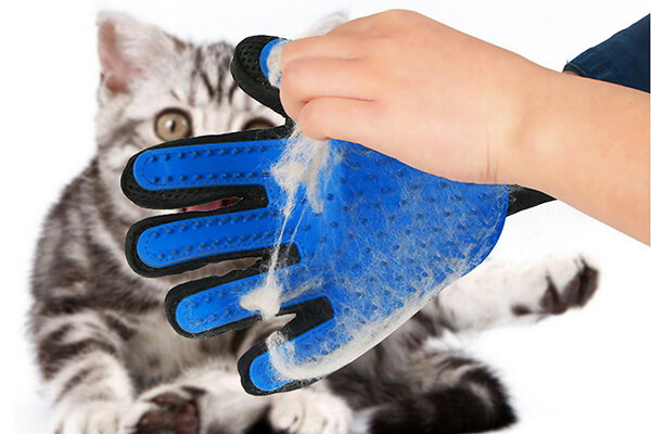 7      AliExpress