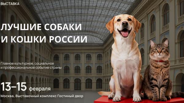 �&nbsp; ������ �������� ������ ����� � ����� ������