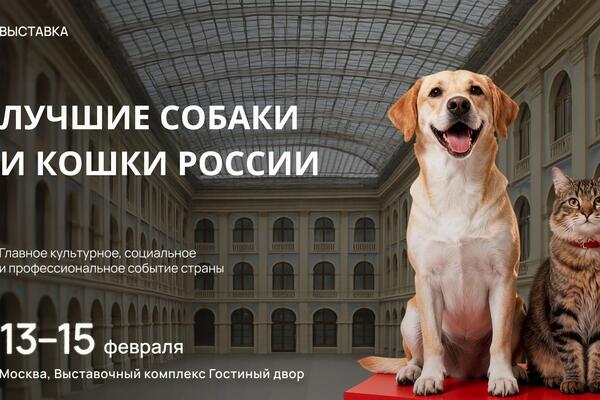 В Москве наградят лучших собак и кошек страны