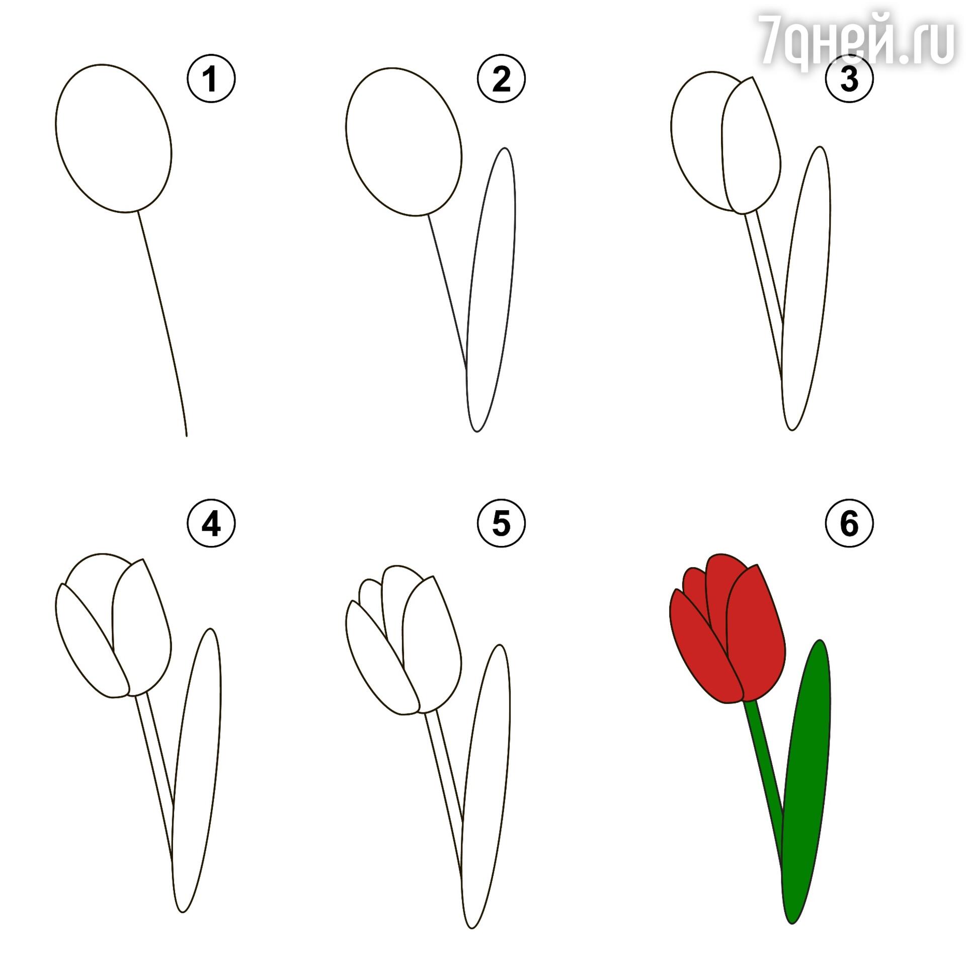 Как легко нарисовать цветочек пошаговая инструкция