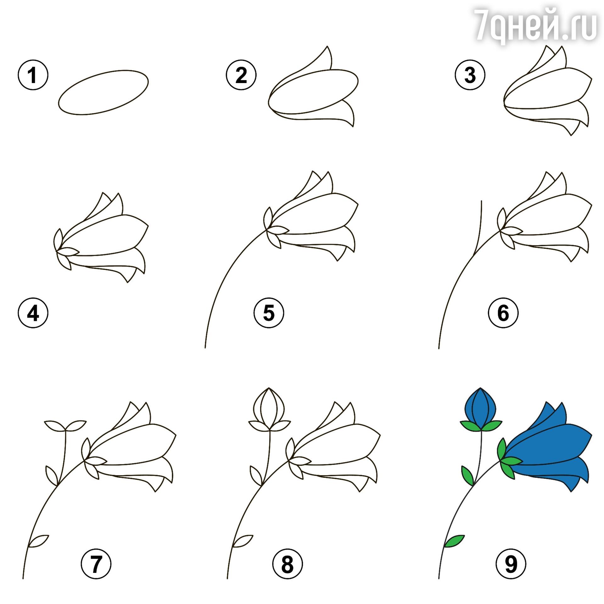 Как легко нарисовать цветочек пошаговая инструкция
