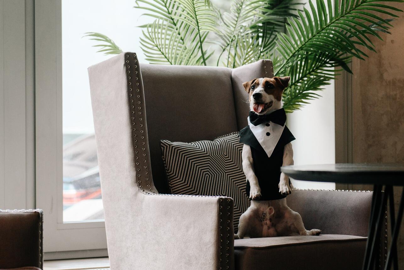 сериал «Жека Рассел»