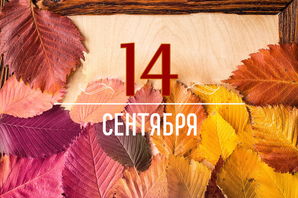       14  