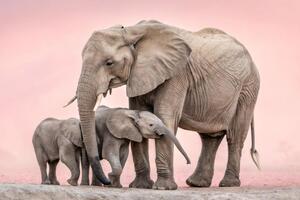 Грозные великаны и ядовитые малютки: самые сильные и опасные животные планеты 