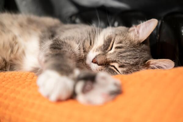 30 октября: какой сегодня праздник?