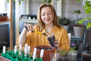 Соседи обзавидуются урожаю: овощи, зелень и цветы, которые нужно сажать на рассаду в марте