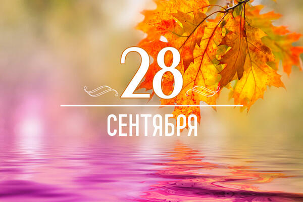      28 