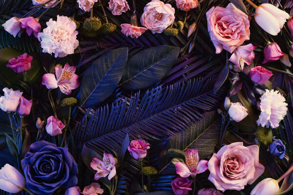 Не покупайте розы, если вы Овен: проверьте, какой цветок станет вашим личным талисманом в этом апреле