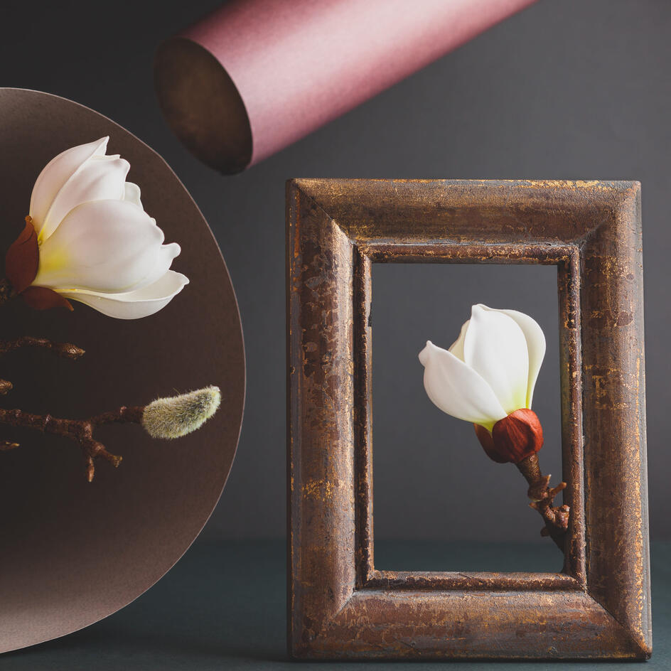 Магнолия или форзиция: как правильно выбрать цветущие ветки для декора дома