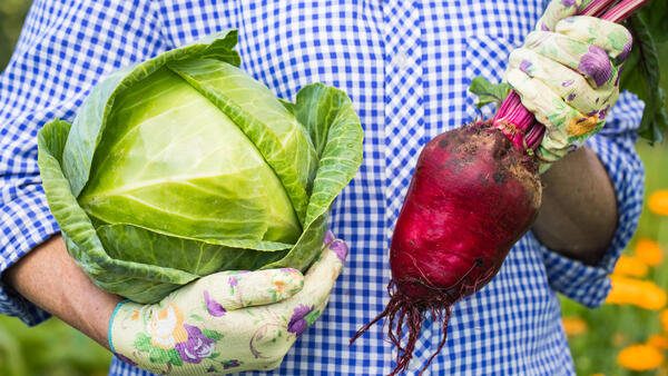 Готовим капусту по-грузински — яркая, хрустящая и без запаха на кухне