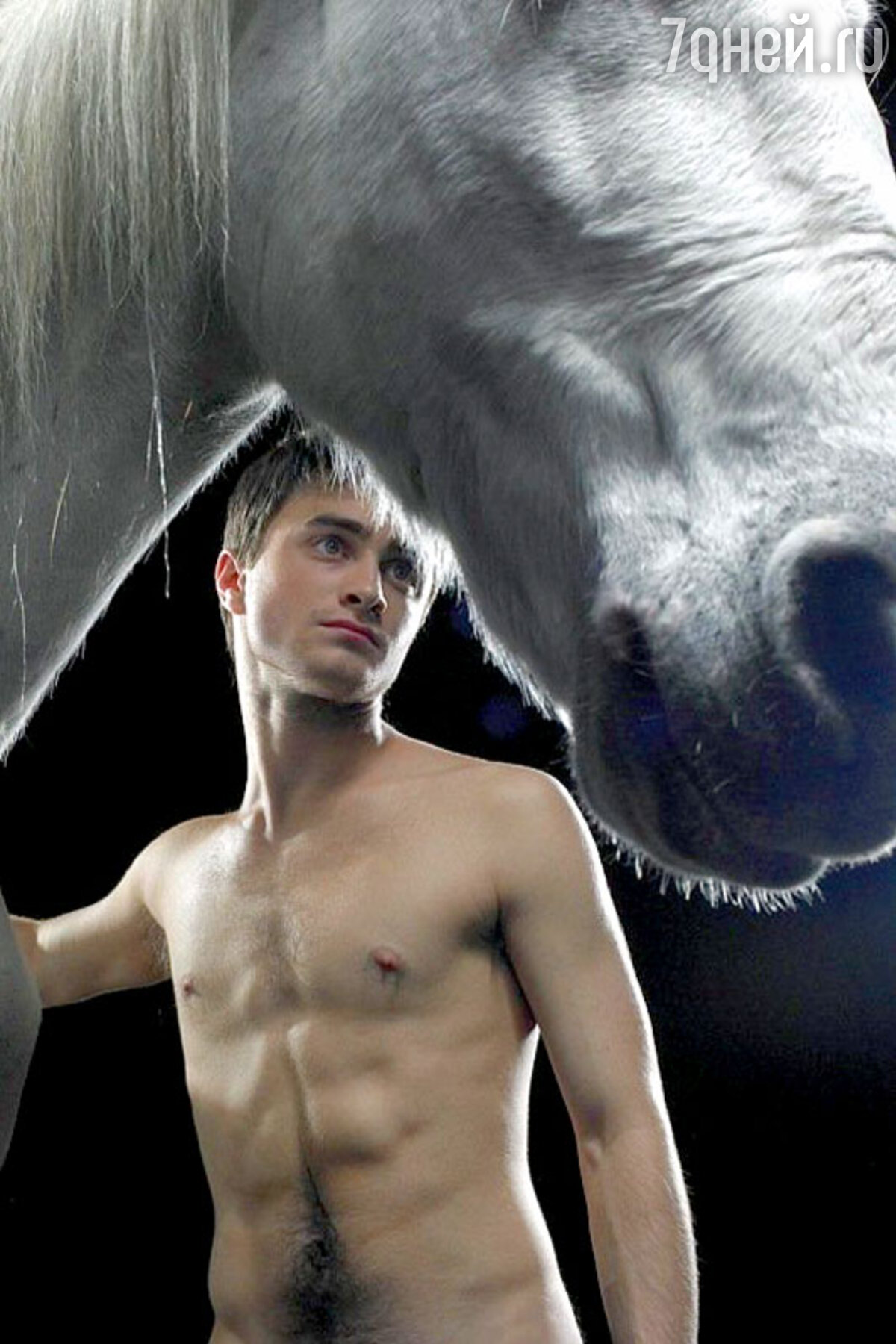 Дэниел Рэдклифф голым дебютирует в театре - в пьесе об эротических отношениях с лошадьми