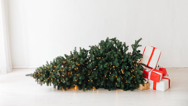 �������&nbsp; ��� ����, ����� ����� ������ ���������� ���� � ����� ������ ����