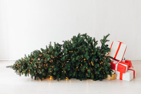 Названы две даты, когда нужно убрать новогоднюю елку — иначе придет беда