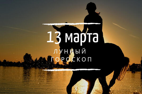    13 , 