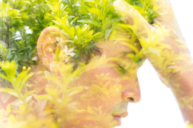 ������������: �������� ������ ������� ����������