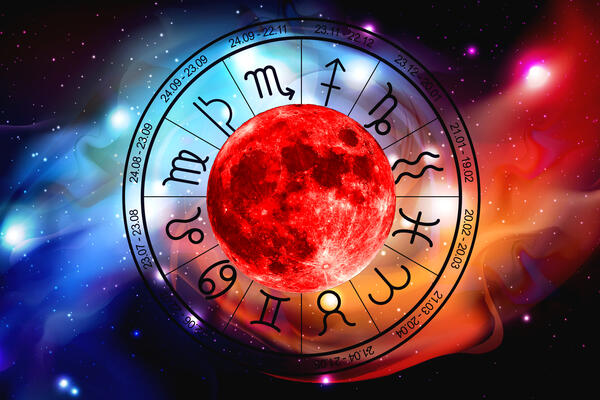    :  ,    14 