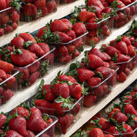 С нитратами или нет? Как проверить апрельскую клубнику на химикаты