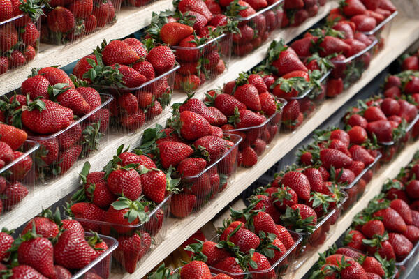 С нитратами или нет? Как проверить апрельскую клубнику на химикаты