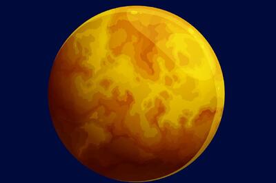 Занимательные факты из мира науки 