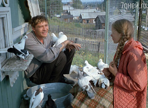 Кадр из фильма «Любовь и голуби». 1981 год