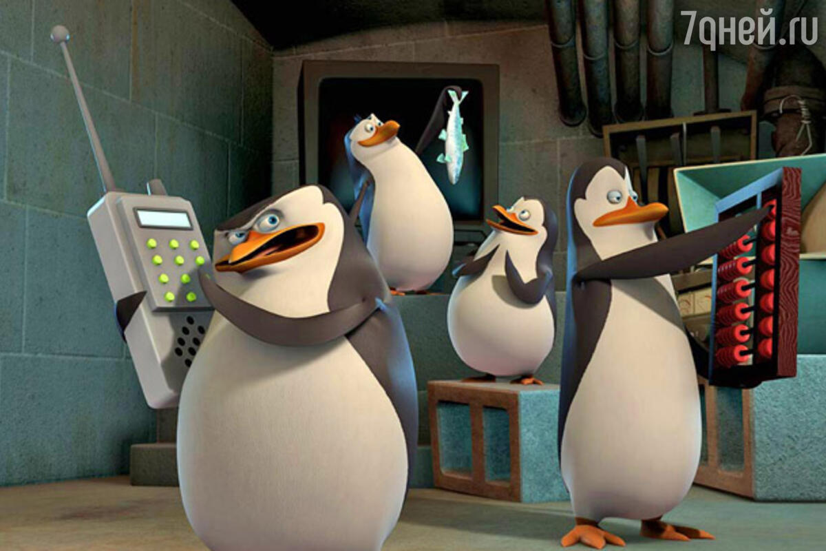 Новые гей порно видео Penguins Madagascar от 