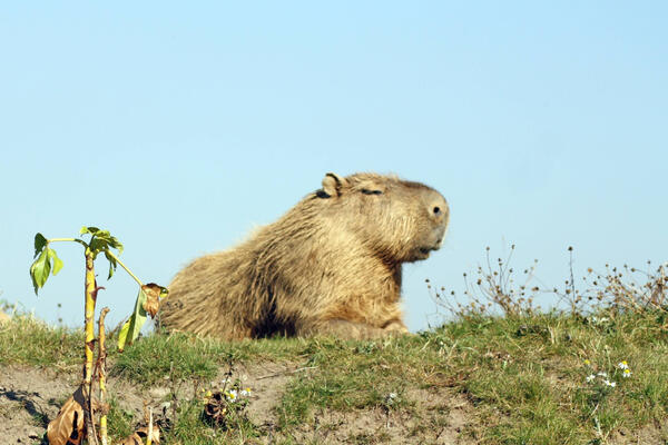 10 июля: какой сегодня праздник?