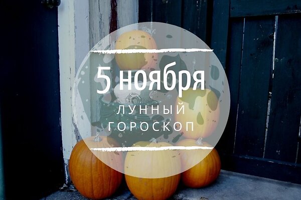    5 , 