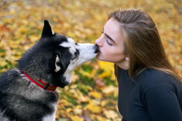 Эпидемиолог: домашних животных целовать не стоит
