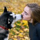 Эпидемиолог: домашних животных целовать не стоит