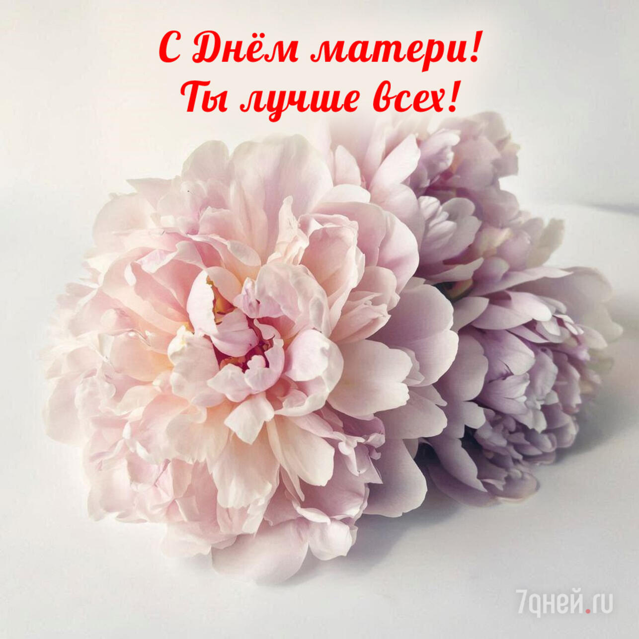   2025,    ,    ,   ,  ,  ,   ,   ,   ,   ,  ,  ,     ,  ,   ,   ,   ,  ,  ,   ,  ,    