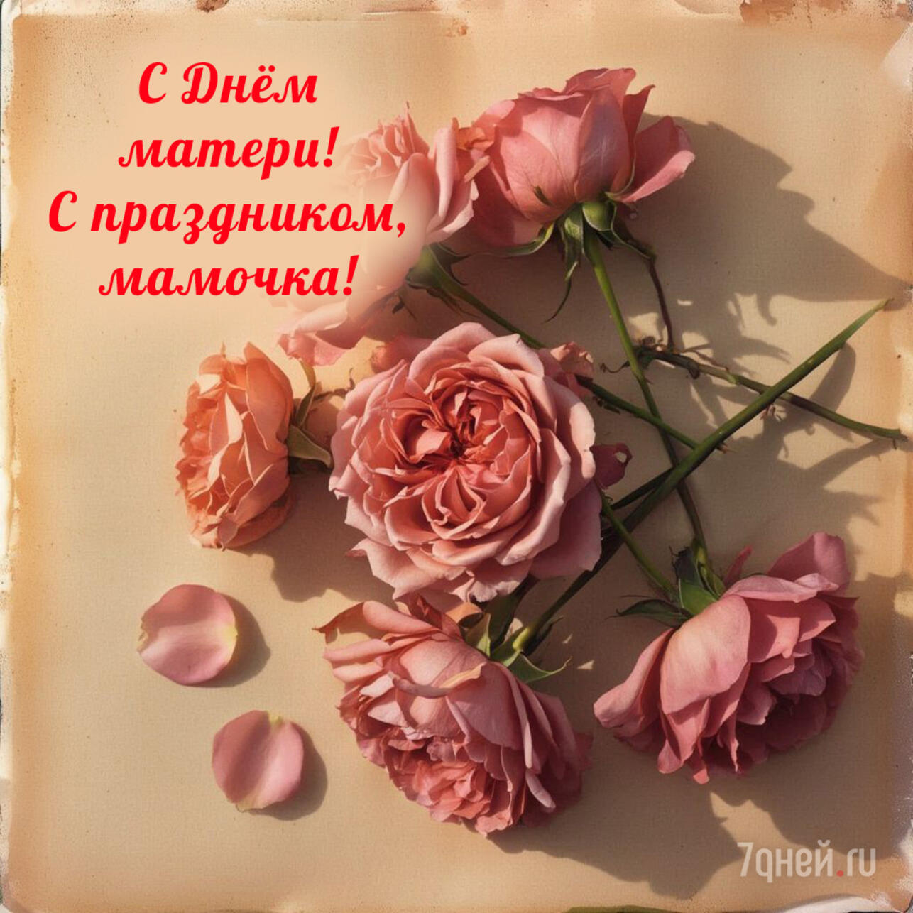   2025,    ,    ,   ,  ,  ,   ,   ,   ,   ,  ,  ,     ,  ,   ,   ,   ,  ,  ,   ,  ,    