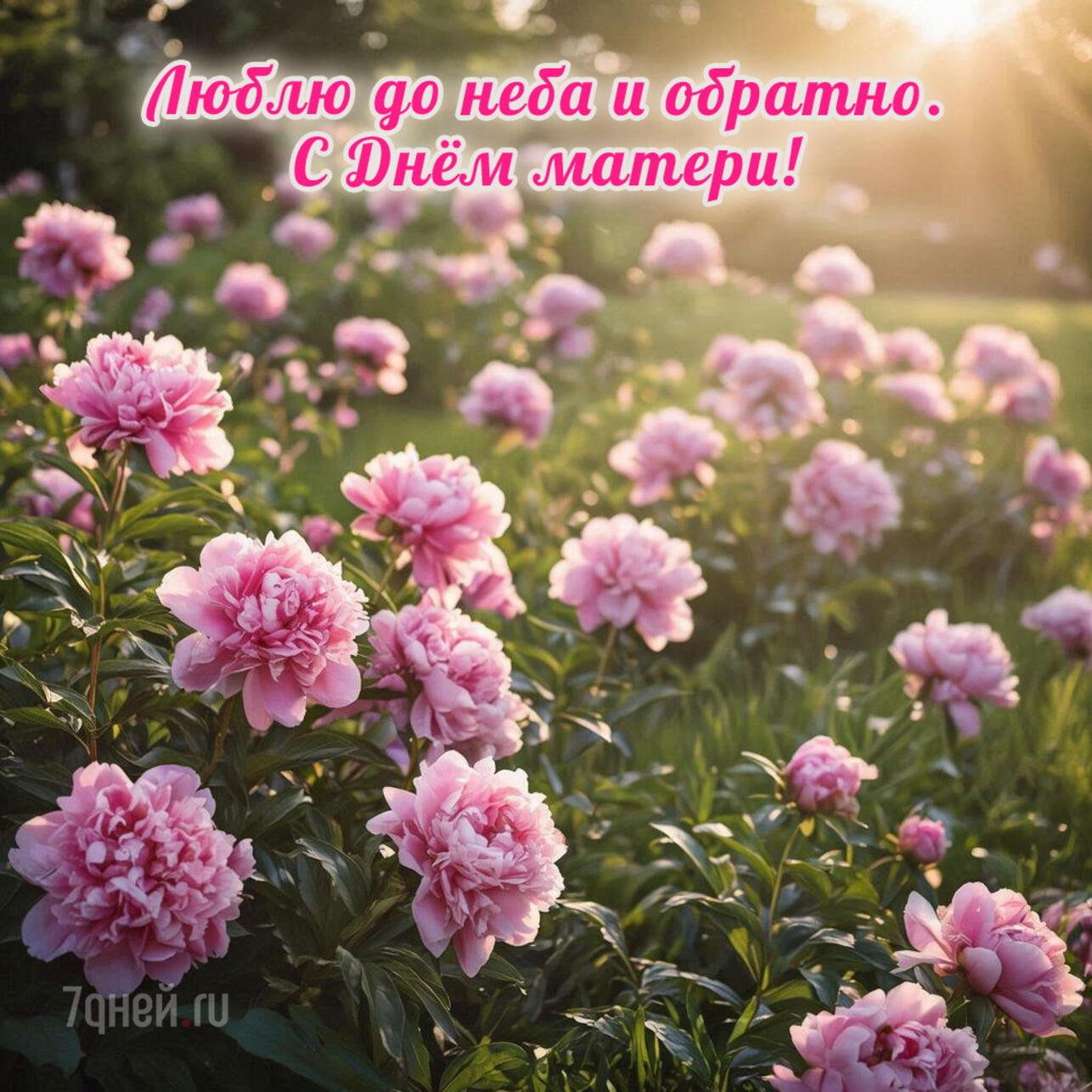   2025,    ,    ,   ,  ,  ,   ,   ,   ,   ,  ,  ,     ,  ,   ,   ,   ,  ,  ,   ,  ,    