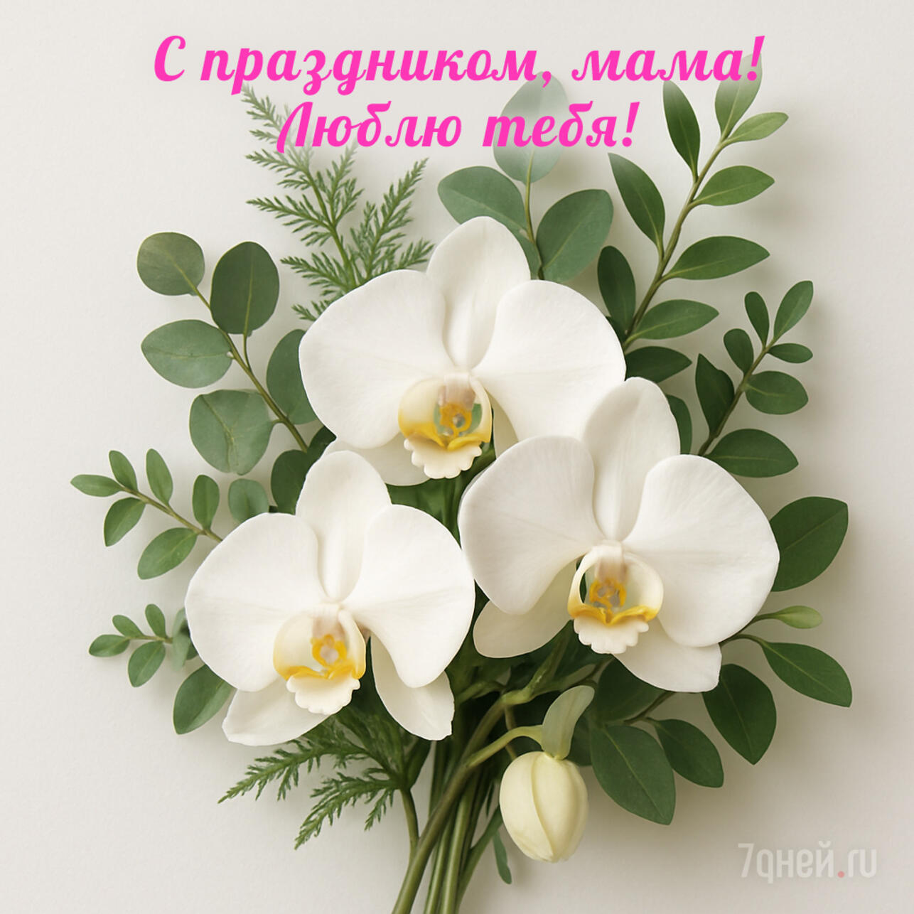   2025,    ,    ,   ,  ,  ,   ,   ,   ,   ,  ,  ,     ,  ,   ,   ,   ,  ,  ,   ,  ,    